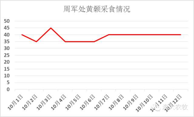 按此在新窗口瀏覽圖片